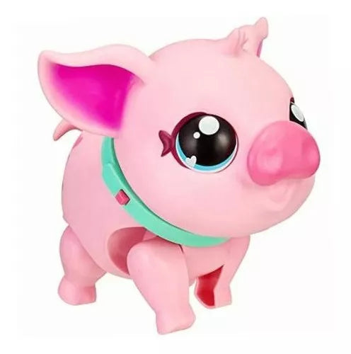 Mi Cerdito Mascota Live Pets Fotorama