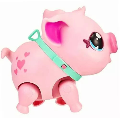 Mi Cerdito Mascota Live Pets Fotorama