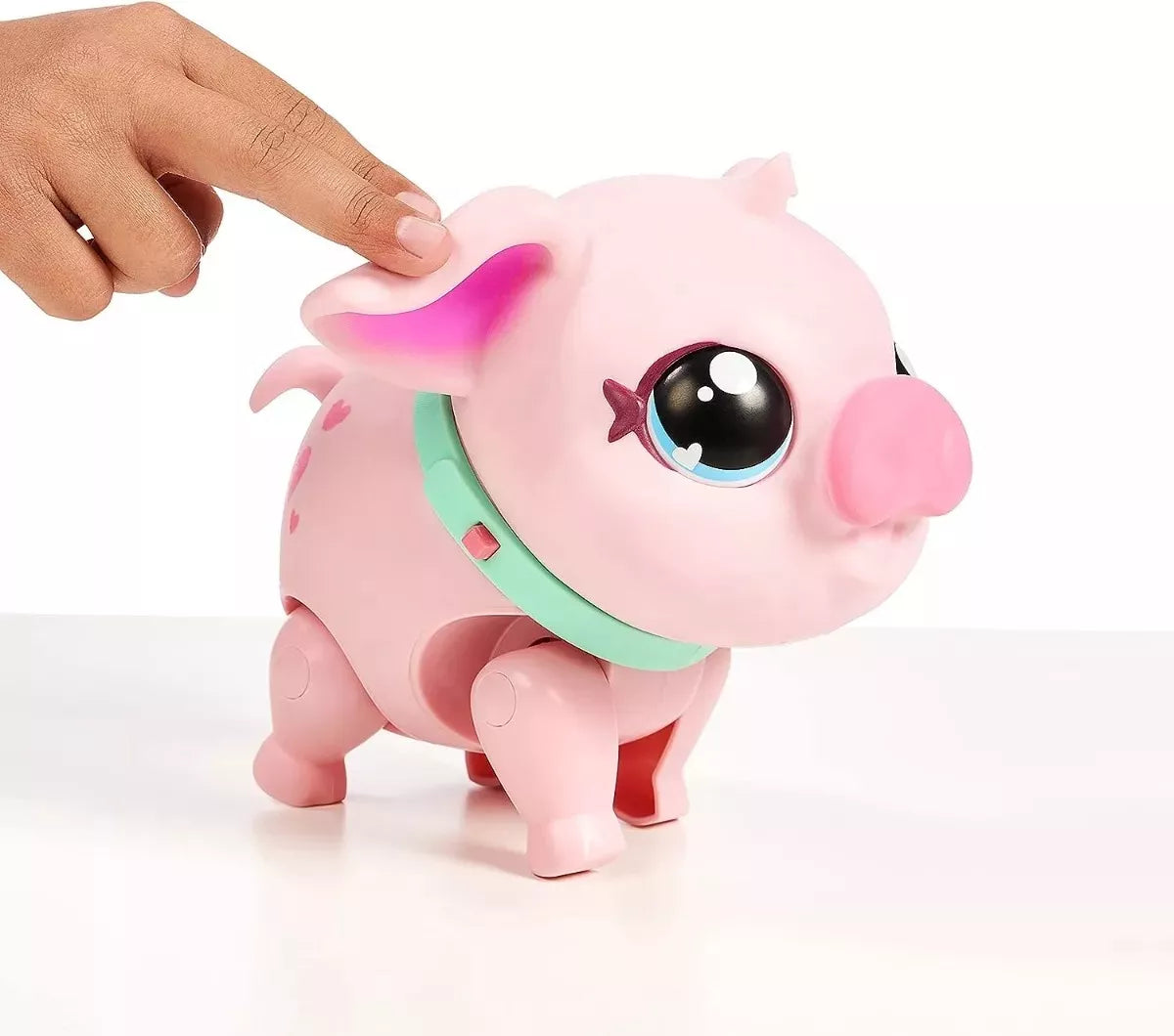 Mi Cerdito Mascota Live Pets Fotorama